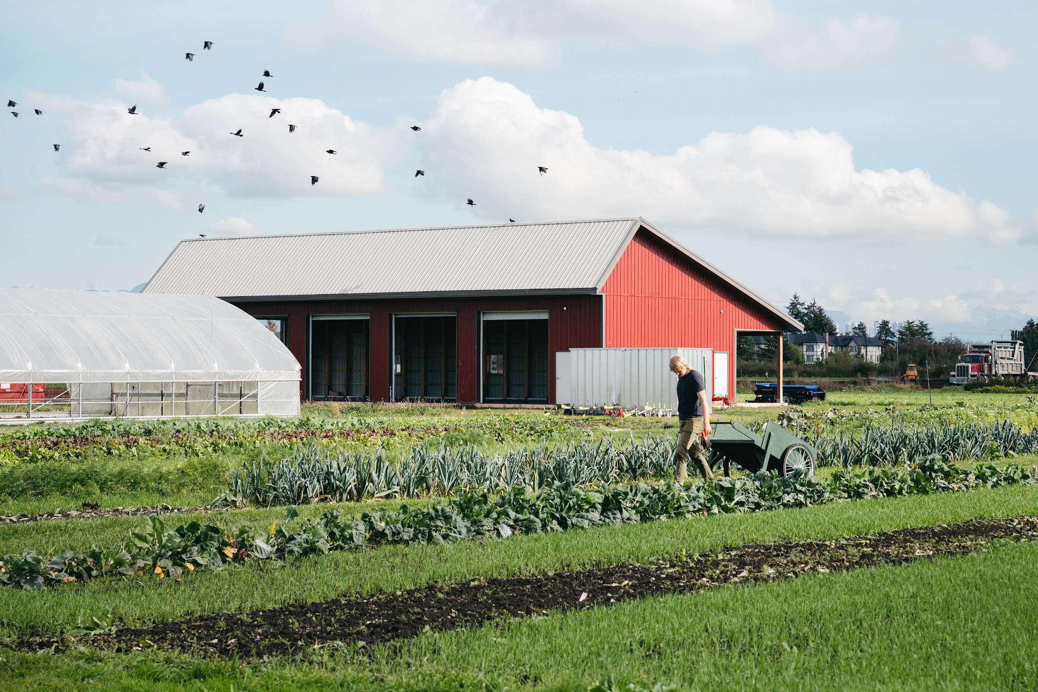 Doors Open Richmond 2025: A Celebration of Farms, Faith, and Creativity – Part 1 – The Sharing Farm